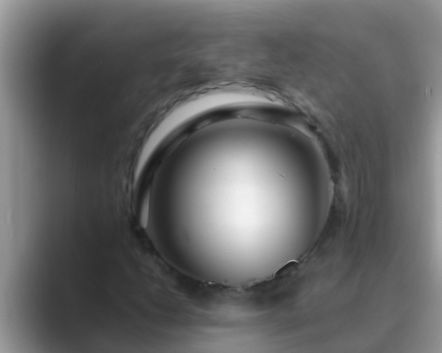 X0000089891206200707051222