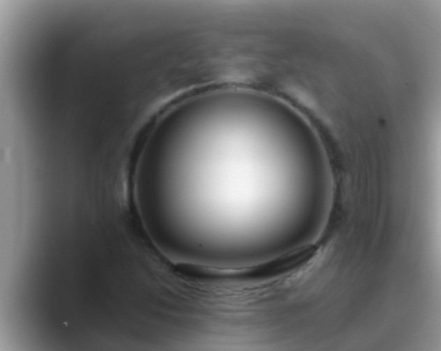X0000089891214200707051222