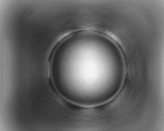 X0000089891223200707051222