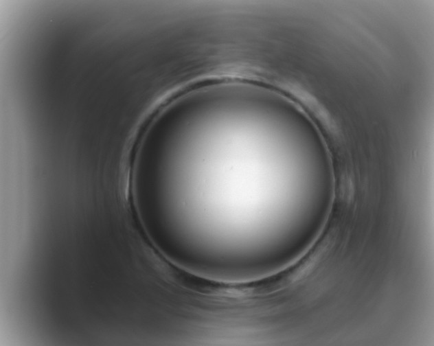 X0000089891224200707051222