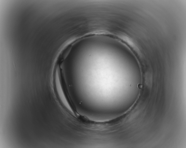 X0000089891229200707051222