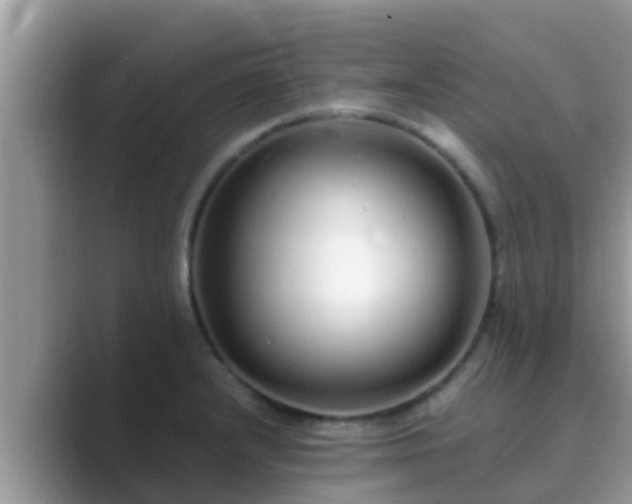 X0000089891232200707051222