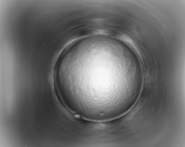 X0000089891235200707051222