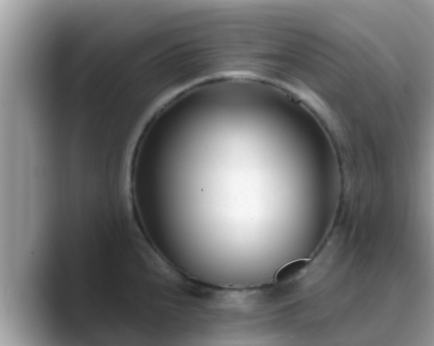 X0000089891240200707051222