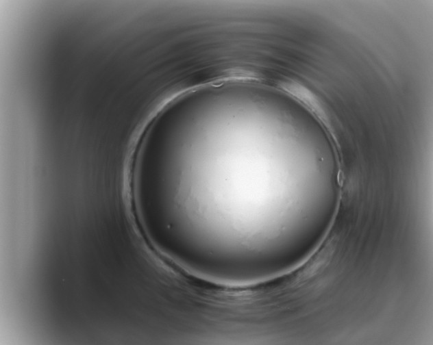X0000089891243200707051222