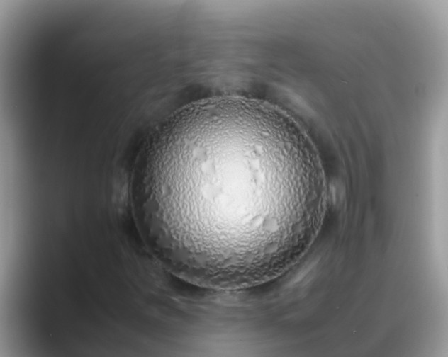 X0000089891251200707051222