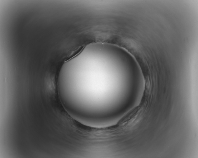 X0000089891252200707051222