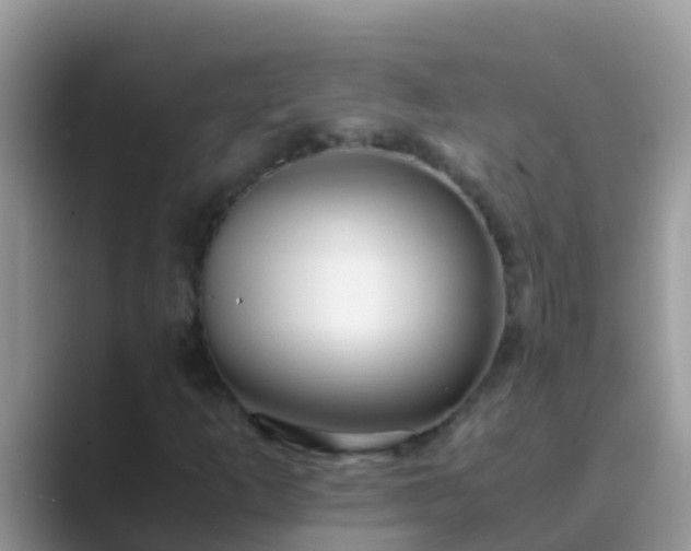 X0000089891253200707051222