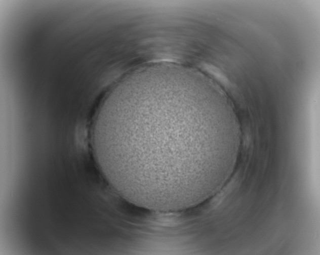 X0000089891258200707051222