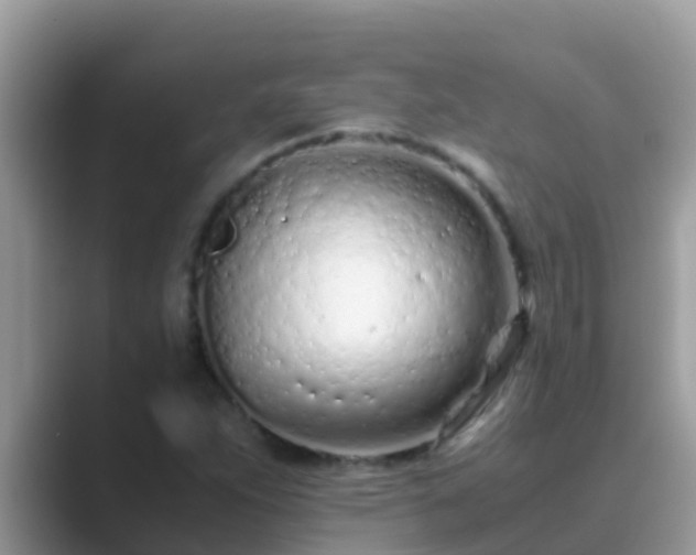 X0000089891263200707051222