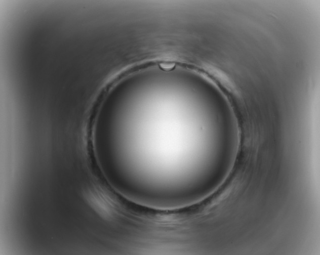 X0000089891264200707051222