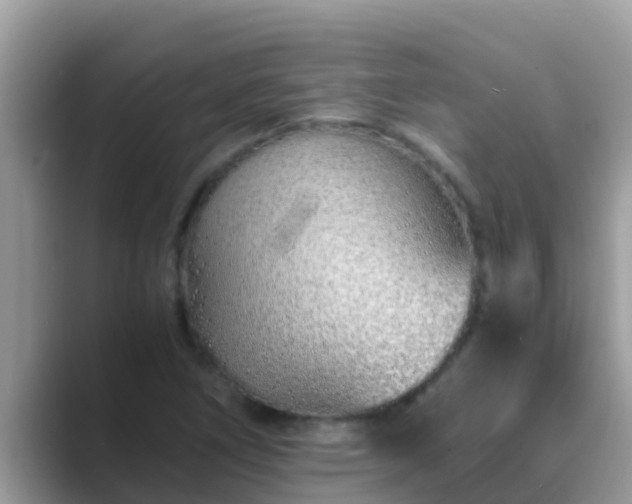 X0000089891266200707051222