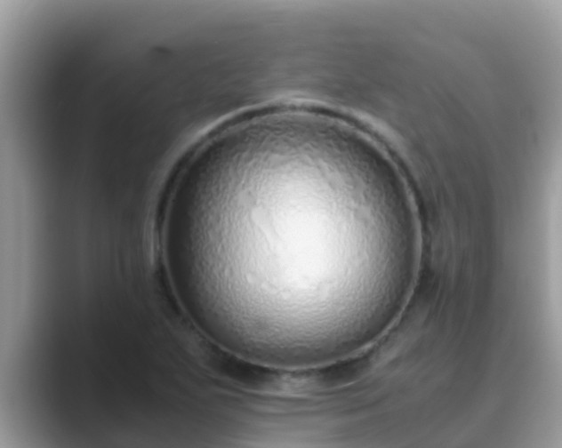 X0000089891271200707051222