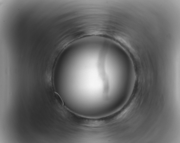 X0000089891273200707051222