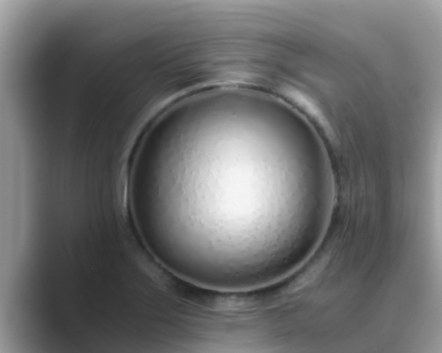 X0000089891275200707051222