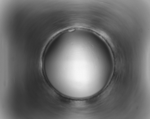X0000089891280200707051222