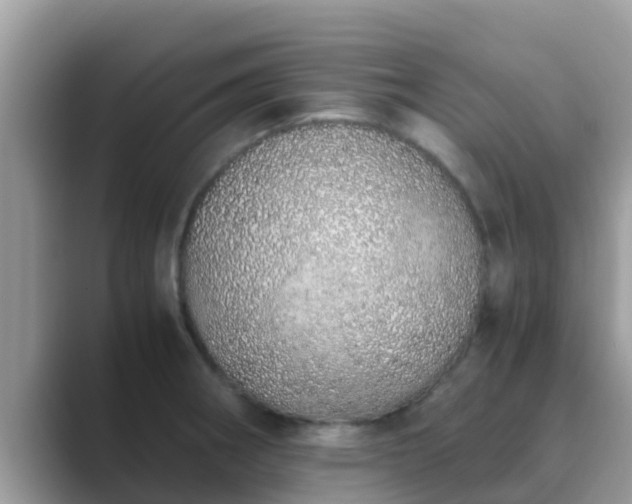 X0000089891282200707051221