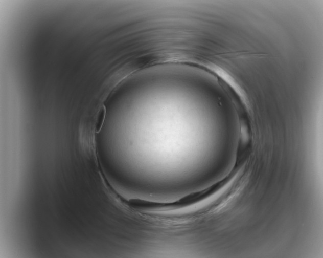 X0000089891289200707051221