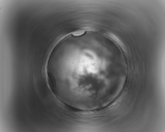 X0000089891291200707051221