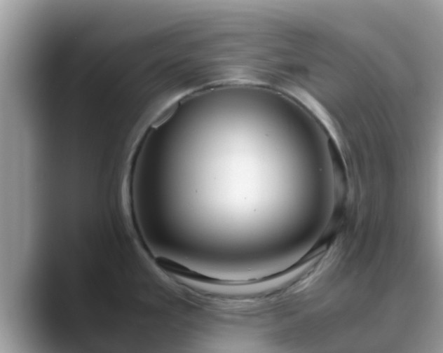 X0000089891293200707051221