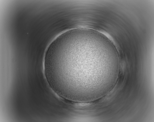 X0000089891294200707051221