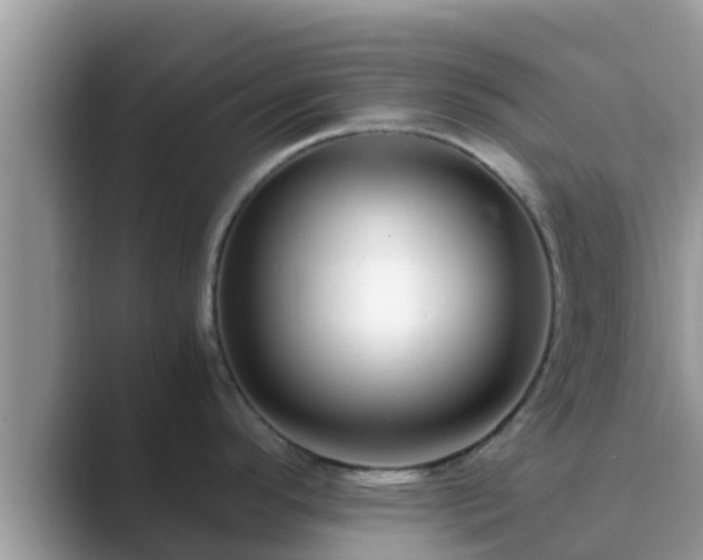 X0000089891296200707051221