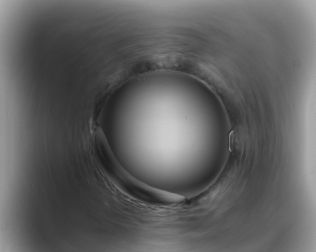 X0000089891298200707051221