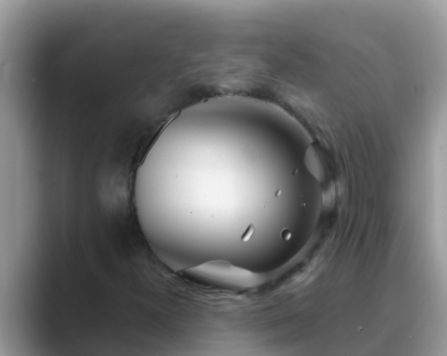 X0000089891300200707051221