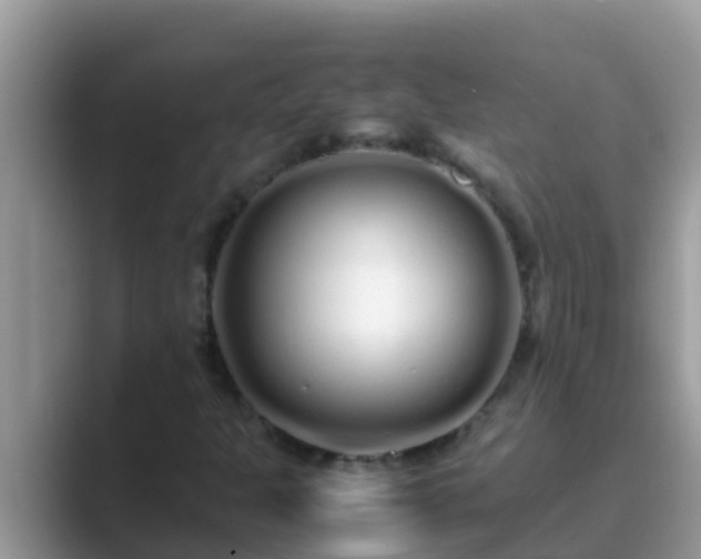 X0000089891301200707051221