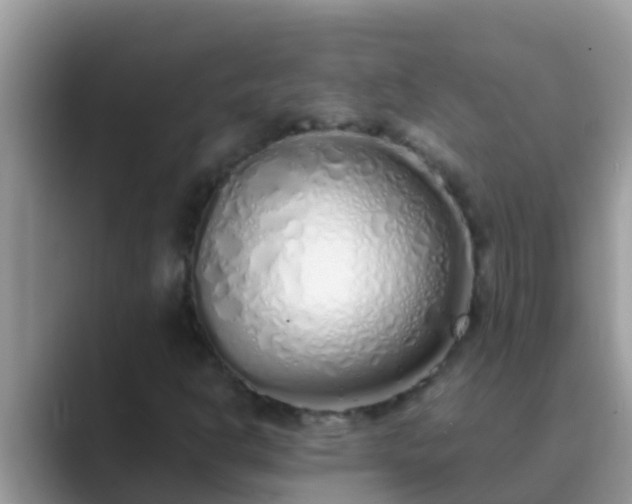 X0000089891302200707051221