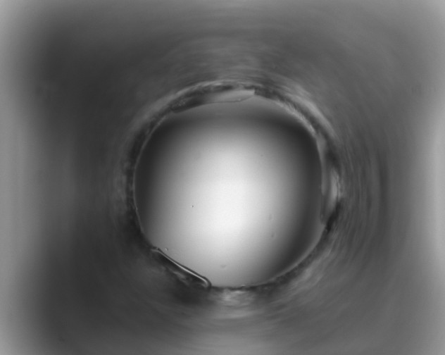 X0000089891304200707051221