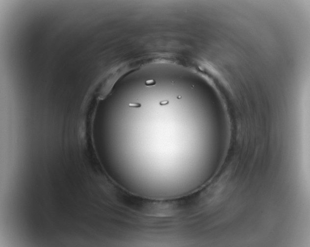 X0000089891307200707051221