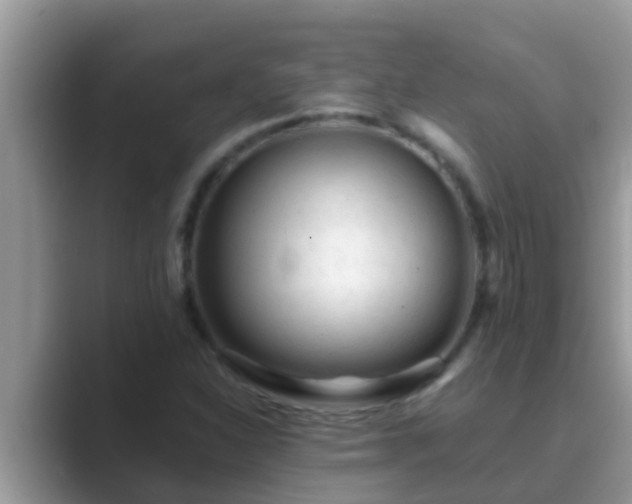 X0000089891310200707051221