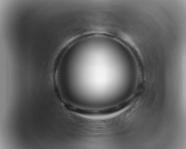 X0000089891312200707051221