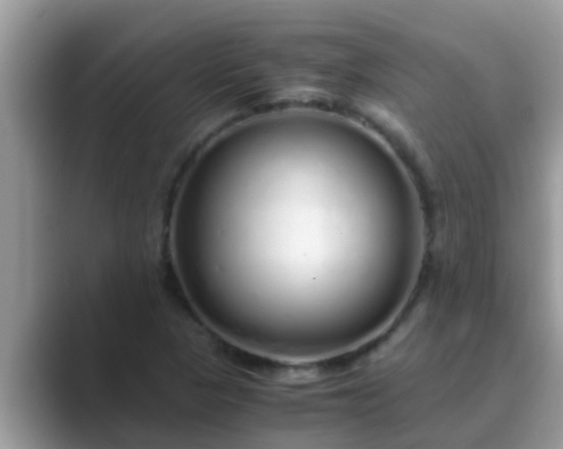 X0000089891313200707051221