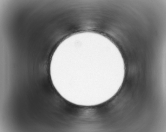 X0000089891314200707051221