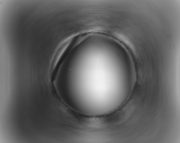 X0000089891316200707051221
