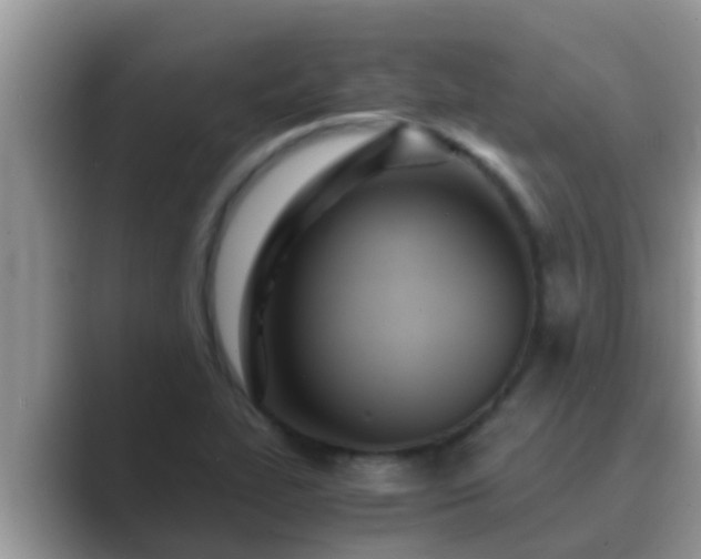 X0000089891319200707051221