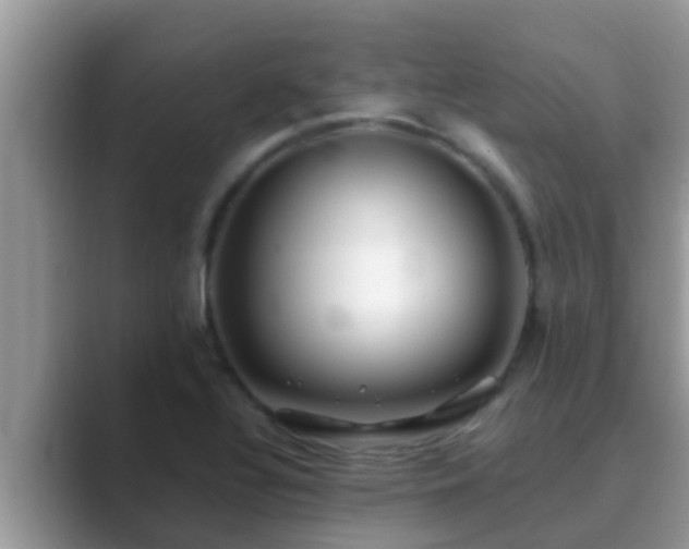 X0000089891320200707051221