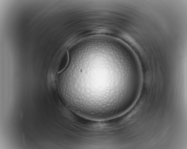 X0000089891321200707051221
