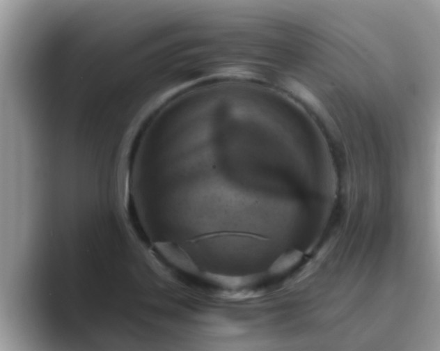 X0000089891323200707051221