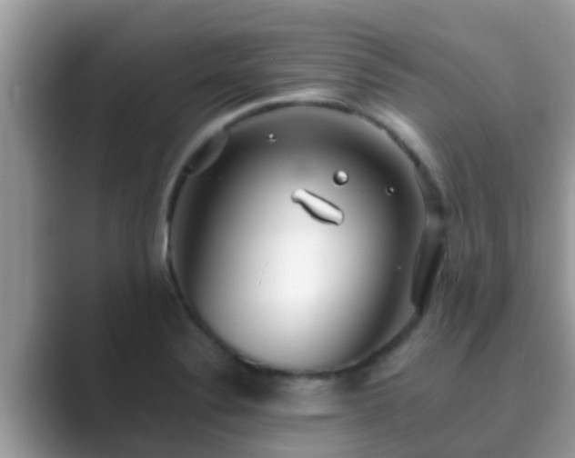 X0000089891324200707051221