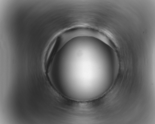 X0000089891326200707051221
