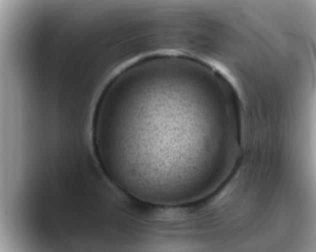 X0000089891327200707051221