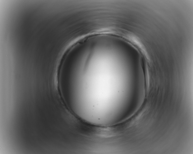 X0000089891328200707051221