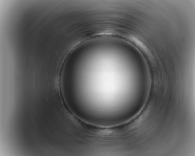 X0000089891329200707051221