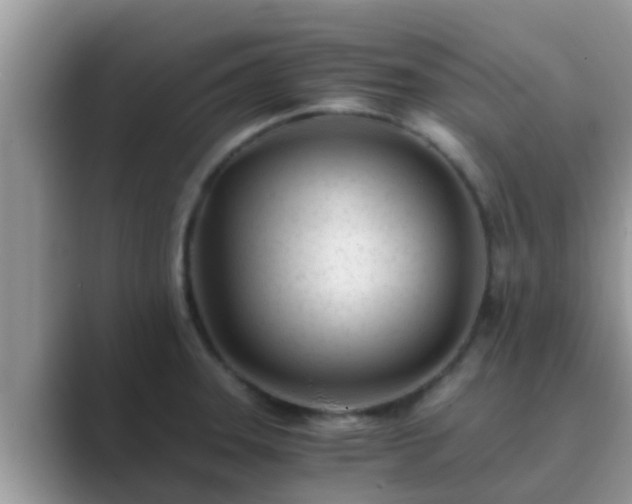 X0000089891331200707051221