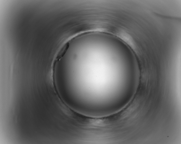 X0000089891332200707051221