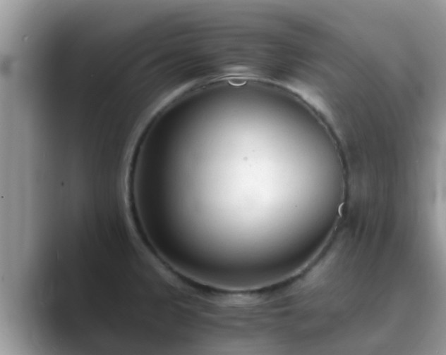 X0000089891333200707051221