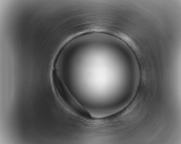 X0000089891334200707051221